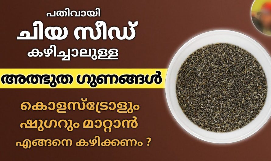 ചിയ സീഡ് കഴിച്ചാലുള്ള അത്ഭുത ഗുണം, ഷുഗർ ഉണ്ടെങ്കിൽ ഷുഗർ പെട്ടന്ന് കുറച്ചു തരും