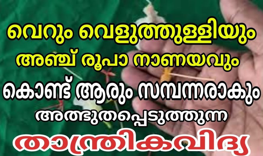 സമ്പന്നനാകുന്ന തന്ത്രവിദ്യ വെറും 5 രൂപാ നാണയം കൊണ്ട്,  വെളുത്തുള്ളി ഉപയോഗിച്ചുള്ള പണവശ്യം