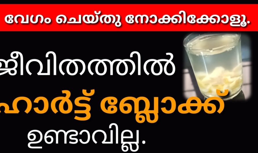 ഹാർട്ട്‌ ബ്ലോക്ക്‌ ജീവിതത്തിൽ ഉണ്ടാവില്ല.. ചെയ്തു നോക്കിക്കോളൂ വേഗം..