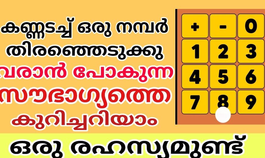 നിങ്ങളുടെ ഉയർച്ച എപ്പോൾ? വരാൻ പോകുന്ന സൗഭാഗ്യങ്ങൾ നമ്പർ പറയും