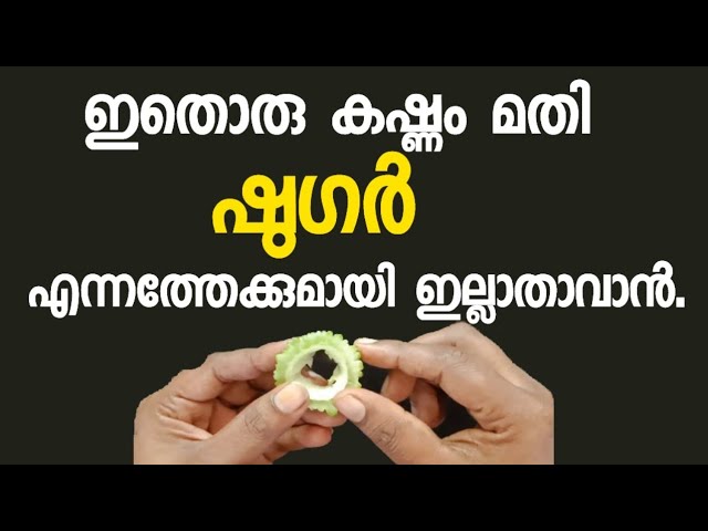 എന്നെന്നേക്കുമായി ഷുഗർ കുറയാൻ, ഇത് ഒരു കഷ്ണം മതി രാവിലെ ഉലുവ കഴിക്കണം എന്ന് പറയുന്നത് ഇത് കൊണ്ടാണ്