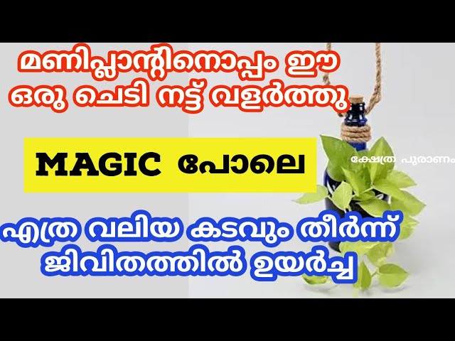 കൈയ്യിൽ പണം വരും, ഇട്ടത് പോലെ കടം തീരും കഷ്ടകാലം ഒഴിയും