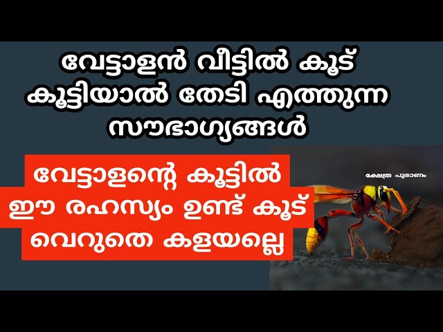 ഈ ഞെട്ടിക്കുന്ന കാര്യം വീട്ടിൽ ഉടനെ നടക്കും, വേട്ടാളൻ കൂട് കൂട്ടിയാൽ