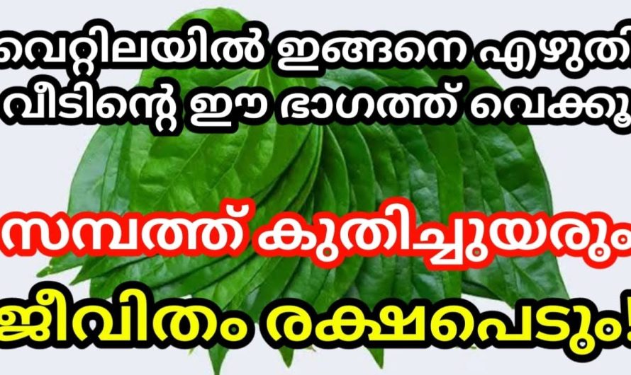 വീടിന്റെ ഈ ഭാഗത്ത് വെക്കൂ, വെറ്റിലയിൽ ഇങ്ങനെ എഴുതി, പിന്നെ ജീവിതം മാറിമറയുന്നത് കാണാം