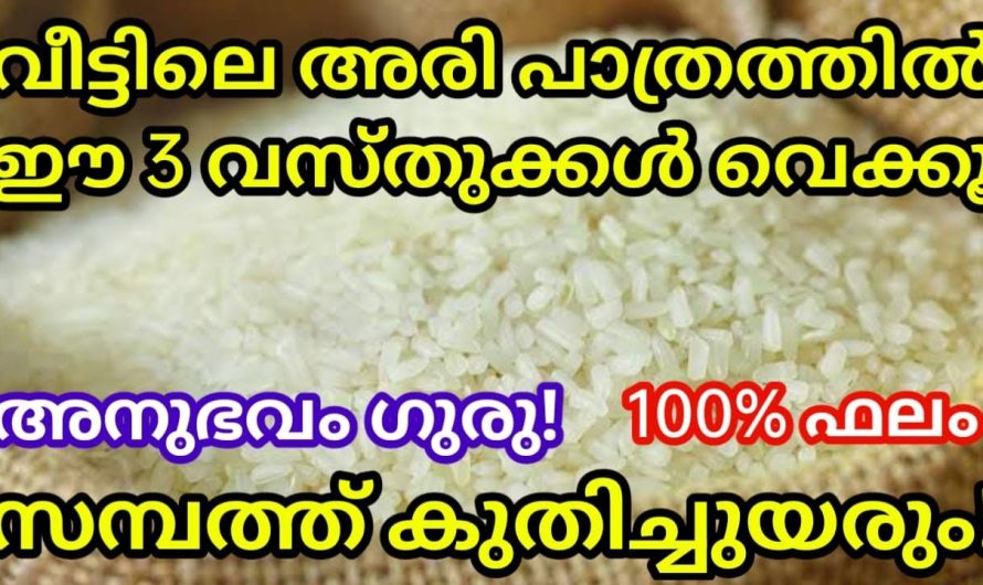 30 ദിവസത്തിൽ സമ്പത്ത് കുതിച്ചുയരും, ഈ 3 വസ്തുക്കൾ അരിപ്പാത്രത്തിൽ വെക്കുക