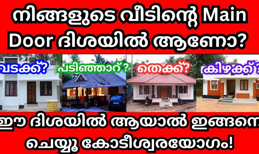 നിങ്ങളുടെ വീടിന്റെ പ്രധാന വാതിൽ എങ്ങോട്ടാണ്? ഇവിടെ വന്നാൽ വലിയ ദോഷം