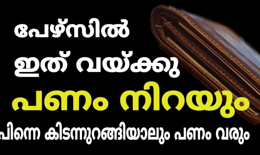 ഇതു മാത്രം ചെയ്താൽ മതി, പേഴ്സിൽ പണം വന്നു കുമിഞ്ഞു കൂടും