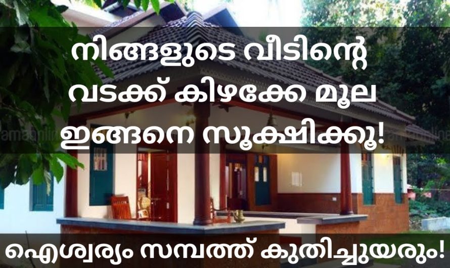 ഇങ്ങനെ സൂക്ഷിക്കു നിങ്ങളുടെ വീടിന്റെ വടക്ക് കിഴക്കേ മൂല! സമ്പത്ത് ഐശ്വര്യം കുതിച്ചുയരും!!