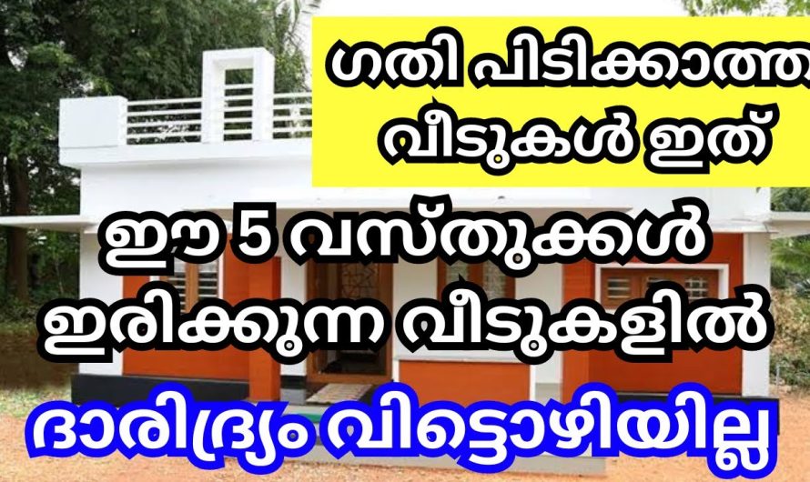 ദാരിദ്ര്യം വിട്ടൊഴിയില്ല, ഈ 5 വസ്തുക്കൾ വീട്ടിൽ ഇരുന്നാൽ, വീട് കടം കയറി മുടിയും