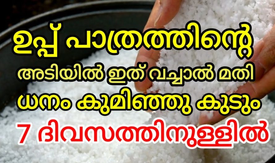 7 ദിവസത്തിനുള്ളിൽ ധനം വന്നു കുമിഞ്ഞു കൂടും, ഇത് ഉപ്പുമാത്രത്തിനടിയിൽ വെച്ചാൽ മതി