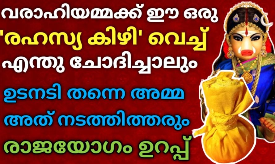 ഈ ‘രഹസ്യ കിഴി’ വരാഹിയമ്മക്ക് വെച്ച്, എന്തു ചോദിച്ചാലും… ഉടനടി തന്നെ നടക്കുന്നതാണ് !!