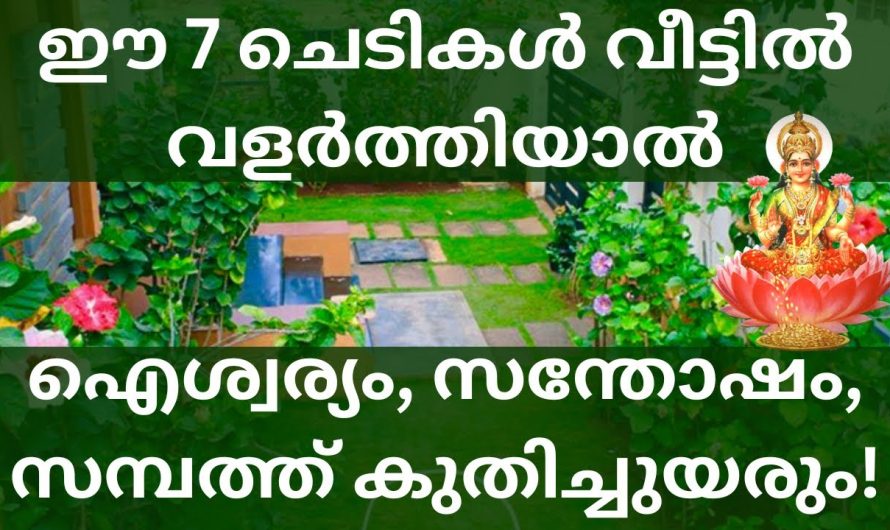 ലക്ഷ്മി കടാക്ഷം ഉള്ള ചെടികൾ, ഈ 7 ചെടികൾ വീട്ടിൽ വളർത്തിയാൽ