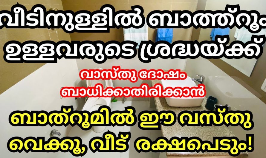 ഈ വസ്തു ബാത്റൂമിൽ സൂക്ഷിക്കുക, വാസ്തുദോഷം ബാധിക്കാതിരിക്കാൻ