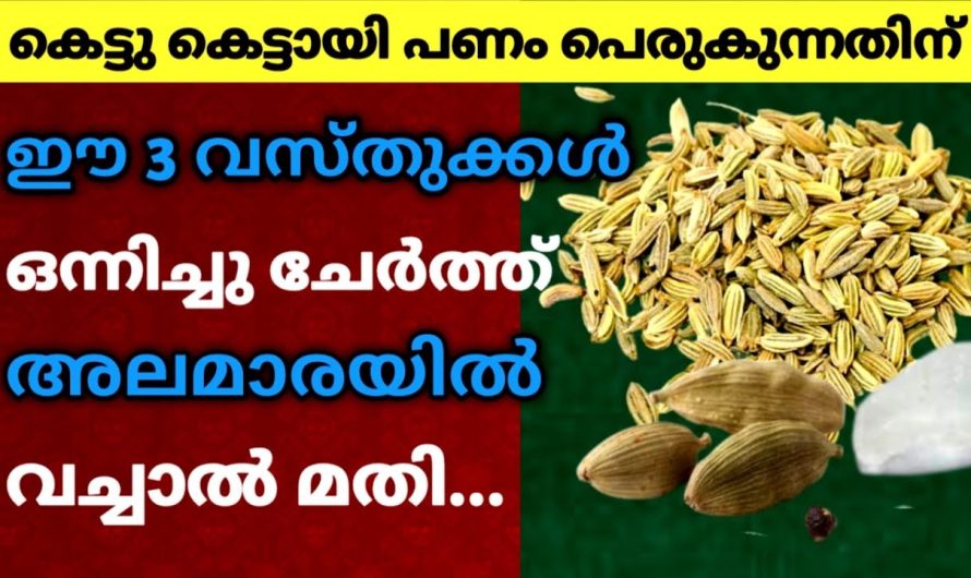 പണം പെരുകുന്നതിന്..  അലമാരയിൽ ഈ 3 വസ്തുക്കൾ ഒന്നിച്ചു വച്ചാൽ മതി