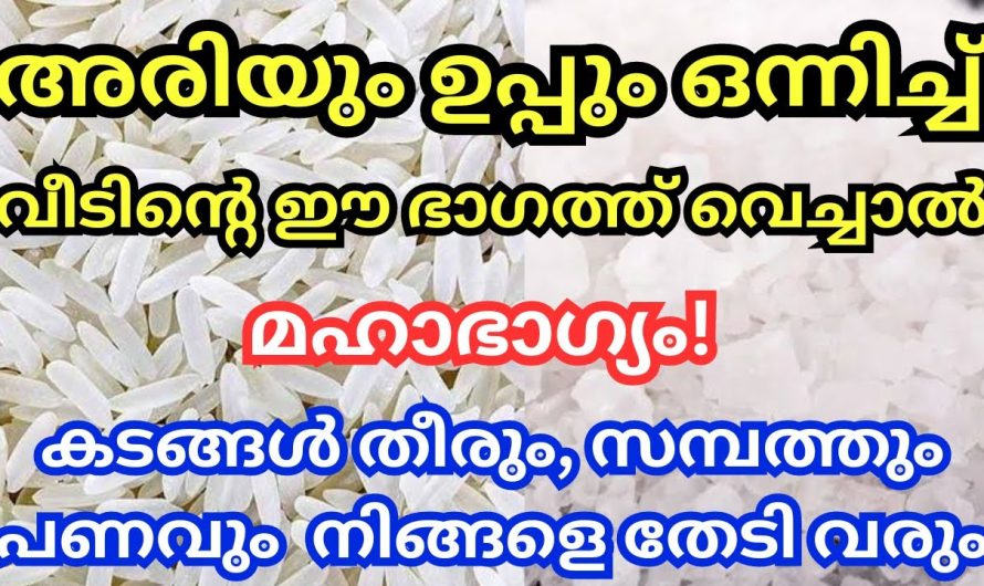 ഒരു പാത്രത്തിൽ വീടിന്റെ ഈ ഭാഗത്ത് അരിയും ഉപ്പും വെച്ചാൽ, പണം നിങ്ങളെ തേടി വരും