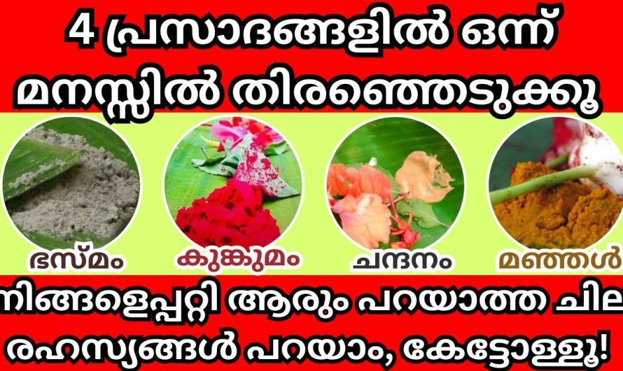 ഒന്ന് തിരഞ്ഞെടുക്കൂ 4 പ്രസാദങ്ങളിൽ, ആരും ഇതു വരെ പറയാത്ത രഹസ്യങ്ങൾ പറയാം കേൾക്കൂ