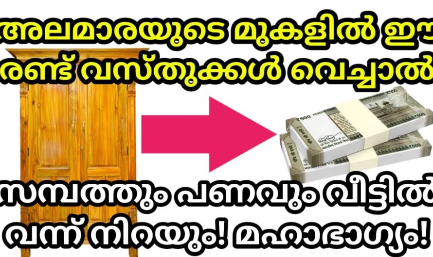 സമ്പത്തും പണവും വീട്ടിൽ വന്ന് നിറയും! അലമാരയുടെ മുകളിൽ ഈ 2 വസ്തുക്കൾ വെച്ചാൽ ഒന്ന് നോക്കി നോക്ക് ഫലം ഉറപ്പ്