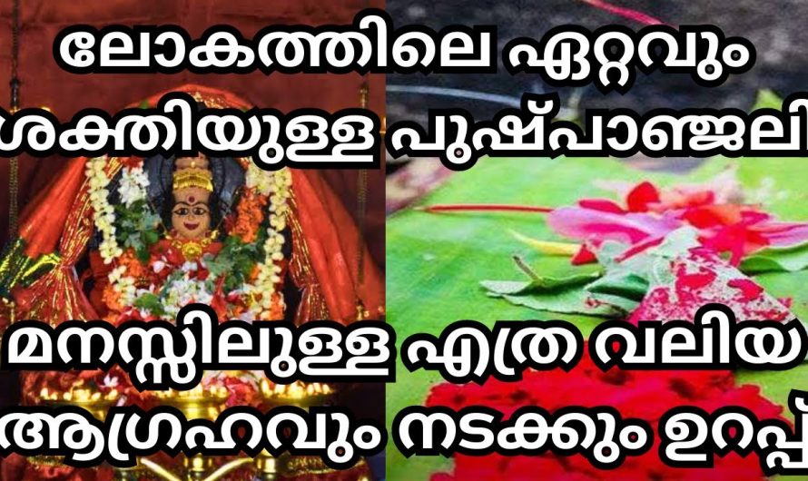 ഈ വഴിപാട് ചെയ്താൽ മനസ്സിലുള്ള ഏത്ര വലിയ ആഗ്രഹവും നടക്കും, ഏറ്റവും ശക്തിയുള്ള വഴിപാട്