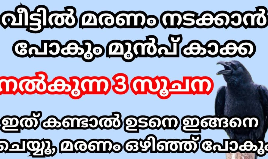 കാക്ക വീട്ടിൽ അ.പക.ടം നടക്കാൻ പോകും മുൻപ്, നൽകുന്ന സൂചനകൾ