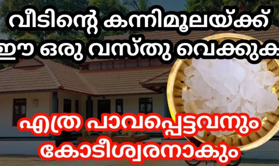 ഈ ഒരു വസ്തു വെക്കൂ, വീടിന്റെ കന്നിമൂലയ്ക്ക് എത്ര പാവപ്പെട്ടവനും കോടീശ്വരനാകും