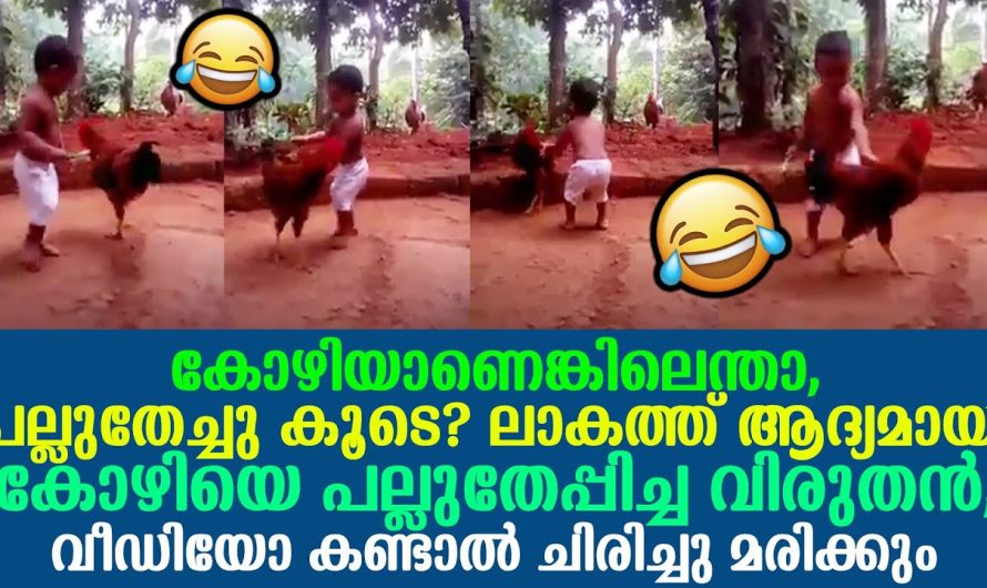 പല്ലുതേച്ചു‌കൂടെ കോഴിയാണെങ്കിലെന്താ? കോഴിയെ പല്ലുതേപ്പിച്ച വിരുതൻ, ചിരിച്ചു മരിക്കും