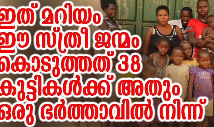 എത്ര കുട്ടികള്‍ക്കാ ഈ മറിയം.. ജന്മം കൊടുത്തത് നോക്കൂ, അതും ഒരു ഭർത്താവിൽ നിന്ന്!!!