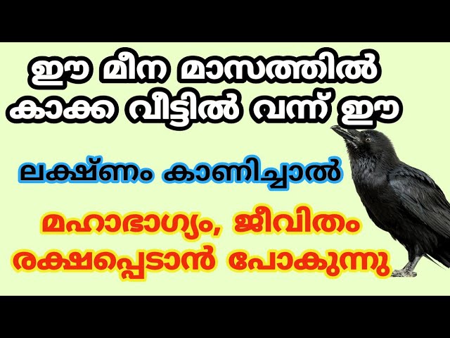 ഈ ലക്ഷ്ണം ഈ മീന മാസത്തിൽ കാക്ക വീട്ടിൽ വന്ന് കാണിച്ചാൽ.. ജീവിതം രക്ഷപ്പെട്ടു