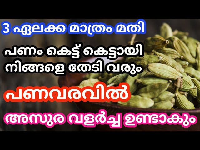 3ഏലക്ക മാത്രം മതി പണം കെട്ട് കെട്ടായി വരും, അസുര വളർച്ച പണവരവിൽ ഉണ്ടാകും