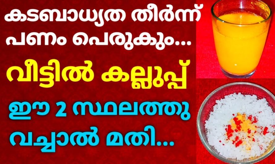 പണം പെരുകും കടം പൂർണ്ണമായും തീർന്ന്..  ഈ 2 സ്ഥലത്ത് വീട്ടിൽ കല്ലുപ്പ് വച്ചാൽ മതി !!!