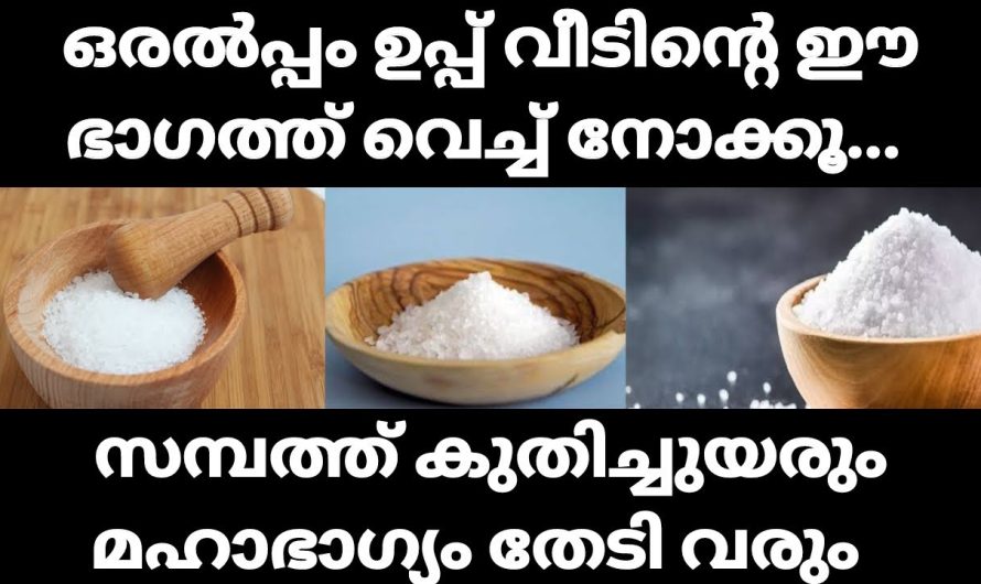 വീടിന്റെ ഈ ഭാഗത്ത് ഒരൽപ്പം ഉപ്പ് വെക്കുക, മഹാഭാഗ്യം നിങ്ങളെ തേടി വരും