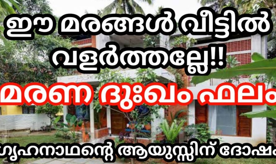 ഗൃഹനാഥന്റെ ആയുസ്സിന് ദോഷം, വീട്ടിൽ വളർത്തല്ലേ ഈ മരങ്ങൾ!! മരണ ദുഃഖം ഫലം!