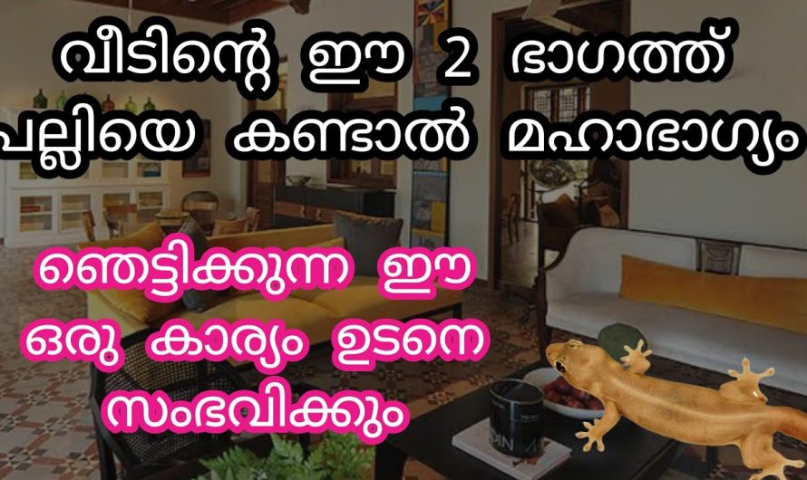 ലക്ഷ്മി ദേവി നൽക്കുന്ന സൂചന, വീടിന്റെ ഈ 2 ഭാഗത്ത് പല്ലിയെ കണ്ടാൽ, ഉടനെ സംഭവിക്കും