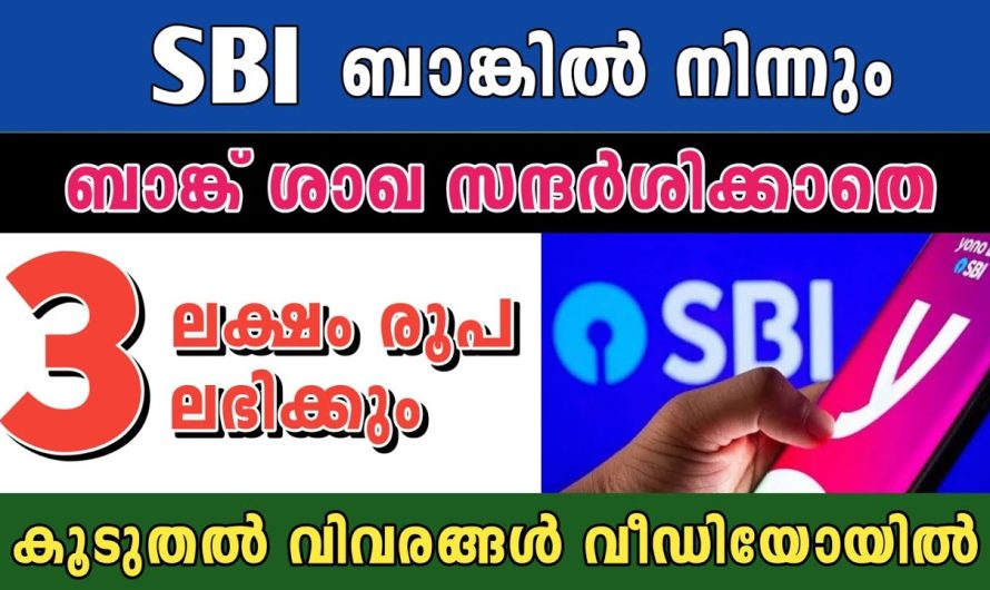 3 ലക്ഷം രൂപ ലോൺ ലഭിക്കും, ബാങ്ക് ശാഖ സന്ദർശിക്കാതെ തന്നെ