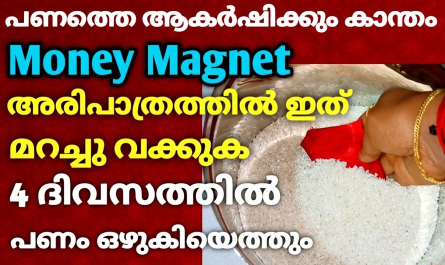 4 ദിവസത്തിൽ പണം വരും, ഇതു  അരിപാത്രത്തിൽ മറച്ചു വച്ചാൽ നടക്കും അതിശയം !!!