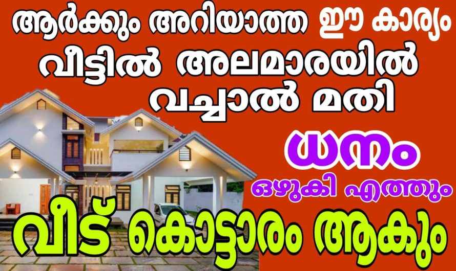 അലമാരയിൽ ആരോടും പറയാതെ ഈ കാര്യം ചെയ്യു, കുമിഞ്ഞു കുടും പണം, ഉന്നതിയിലെത്തും