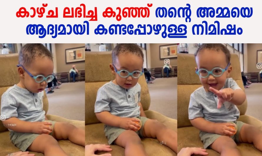 അമ്മയെ ആദ്യമായി കാഴ്ച ലഭിച്ച കുഞ്ഞ് തന്റെ കണ്ടപ്പോഴുള്ള നിമിഷം, ഏറ്റെടുത്ത് കൊണ്ട് സോഷ്യൽ ലോകം !!