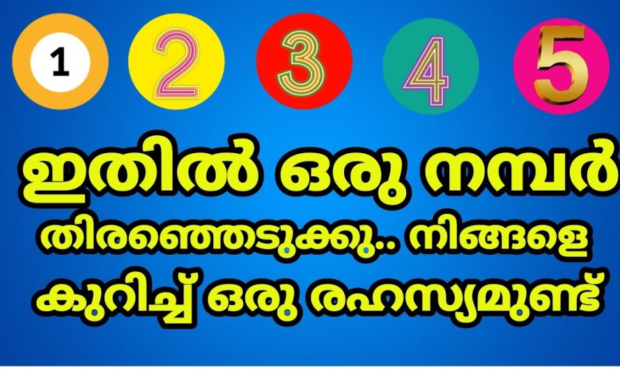 ഇതിൽ നിന്ന് ഒരു നമ്പർ തിരഞ്ഞെടുക്കു, ഒരു രഹസ്യമുണ്ട് നിങ്ങളെ കുറിച്ചു