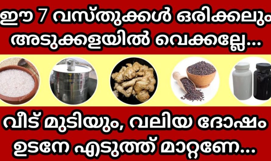 ഒരിക്കലും അടുക്കളയിൽ ഈ 7 വസ്തുക്കൾ വെക്കല്ലേ, ഉടനെ എടുത്ത് മാറ്റിയേക്കണേ!!