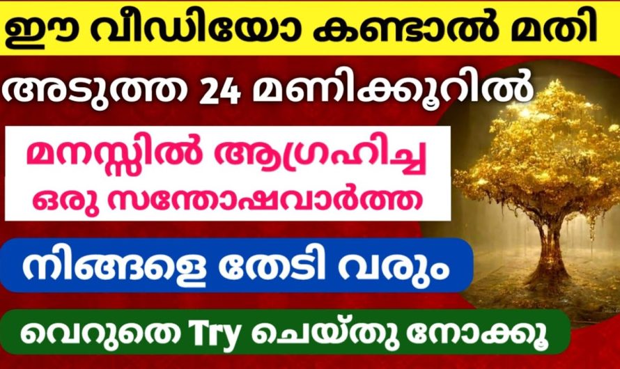 അടുത്ത 24 മണിക്കൂറിൽ മനസ്സിൽ ആഗ്രഹിച്ച ആ കാര്യം നിങ്ങളെ തേടി വരും!! ഈ വീഡിയോ കണ്ടാൽ മാത്രം മതി