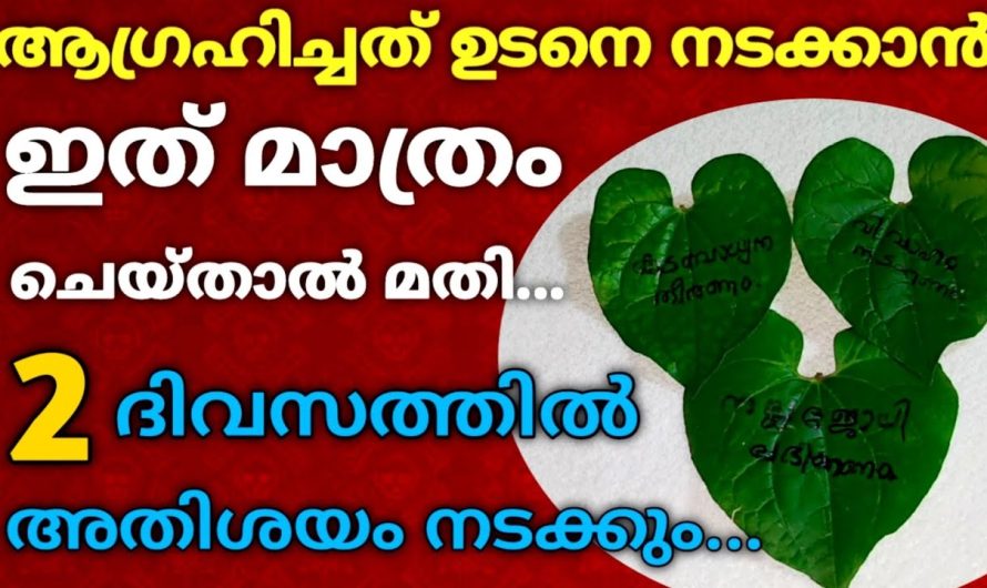 ഈ 1 കാര്യം ചെയ്‌താൽ മതി, 2 ദിവസത്തിനുള്ളിൽ ആഗ്രഹിച്ചത് ഉടനെ നടക്കും !!