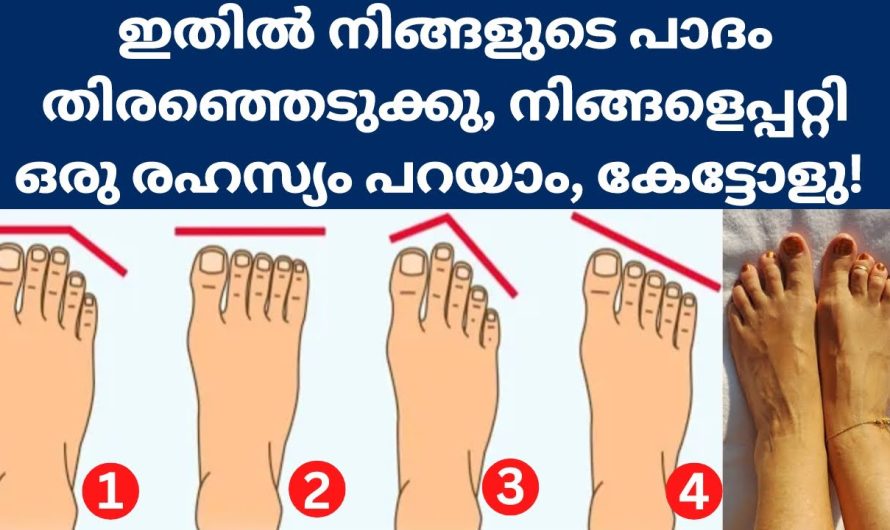 നിങ്ങളുടെ പാദ ഘടന ഏതാണ് തിരഞ്ഞെടുക്കു, നിങ്ങളെ പറ്റി ഒരു രഹസ്യം പറയാം, കെട്ടൊള്ളൂ