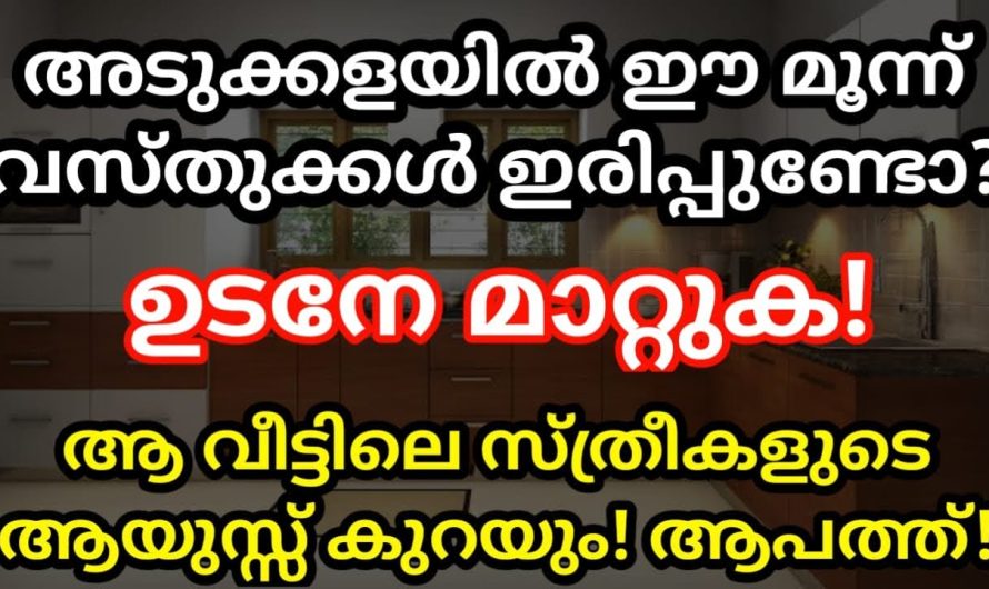 അടുക്കളയിൽ ഈ 3 വസ്തുക്കൾ ഇരിപ്പുണ്ടോ? എങ്കിൽ ആയുസ്സ് കുറയും വീട്ടിലെ സ്ത്രീകൾക്ക്! അറിയാതെ പോകല്ലേ ഇതിനെ കുറിച്ച്