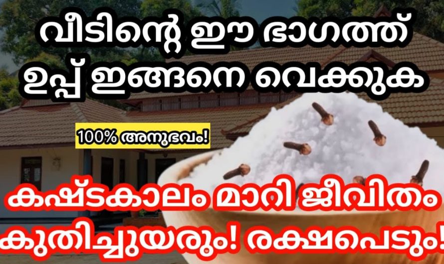 ഇങ്ങനെ വെക്കുക വീടിന്റെ ഈ ഭാഗത്ത് ഉപ്പ്, കുതിച്ചുയരും ഐശ്വര്യവും സമ്പത്തും