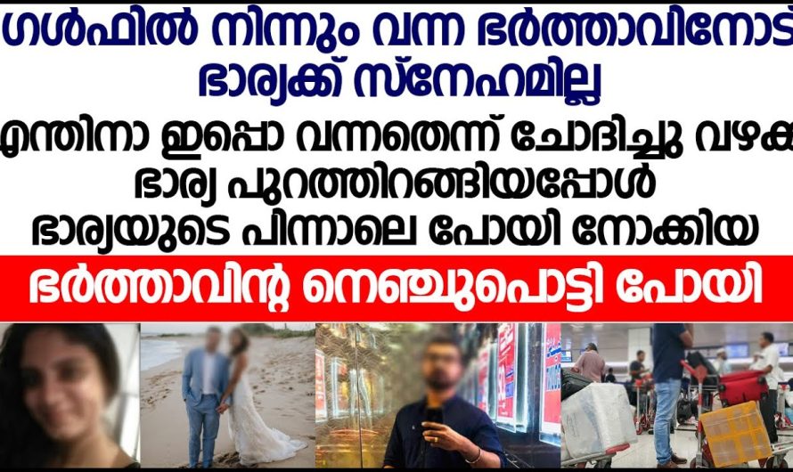 നിന്റെ വർത്തമാനം കേട്ടാൽ ഞാൻ ഇവിടെത്തന്നെ ഇരിക്കണം ഈ നാട്ടിലേക്ക് വരാൻ പാടില്ല എന്നാണല്ലോ, എന്തെങ്കിലും നീ എന്നിൽ നിന്നും ഓളിക്കുന്നുണ്ടോ…