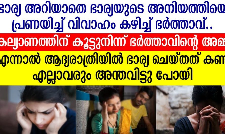 ഭർത്താവ് തന്റെ അനിയത്തിയെ പ്രണയിക്കാനായി സഹായിച്ചത് അമ്മയാണെന്ന് തിരിച്ചറിഞ്ഞ നിമിഷം ഭാര്യ ഞെട്ടിപ്പോയി