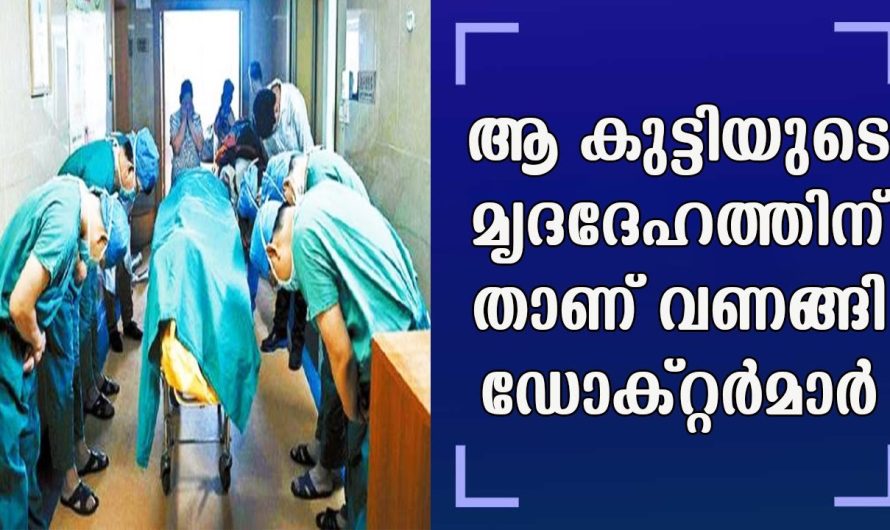 ആ ഡോക്റ്റർമാർ ആ പതിനൊന്നുകാരന് മുന്നിൽ താണുവണങ്ങി, ഈ ചിത്രം സോഷ്യൽ മീഡിയയിൽ വൈറൽ ആക്കുന്നു