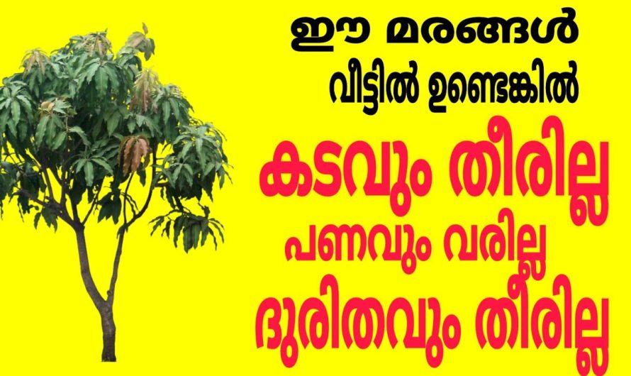 വീട്ടിലുണ്ടൊ ഈ മരങ്ങൾ, കടവും ഒഴിയില്ല ,ദുരിതവും ഒഴിയില്ല/ പണവും വരില്ല