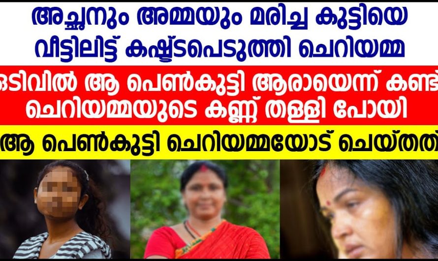 അച്ഛനമ്മയും ഇല്ലാത്തതുമൂലം ചെറിയമ്മയുടെ ആട്ടും തുപ്പും ജീവിച്ചു അവസാനം അവിടുന്ന് രക്ഷപ്പെടുത്തിയ ആളെ കണ്ടോ അവൾ ഞെട്ടിപ്പോയി