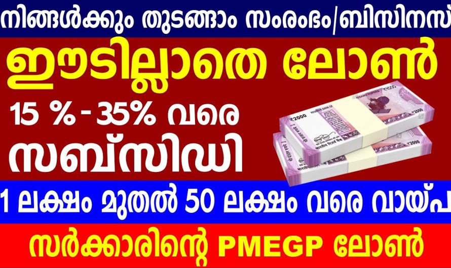 ലോണിൻ്റെ പൂർണ്ണ വിവരങ്ങൾ മലയാളത്തിൽ PMEGP വായ്പ