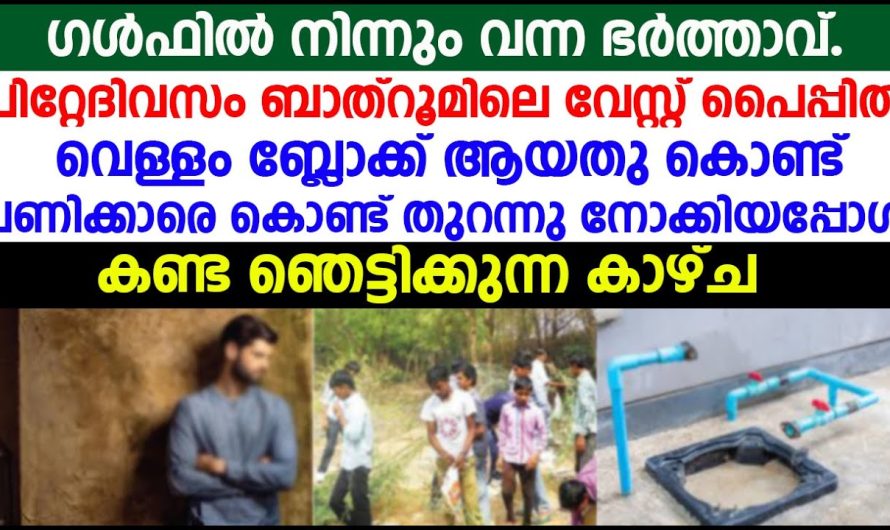 ഗൾഫിൽ നിന്നും വന്ന ഭർത്താവ് ഭാര്യയുടെ രഹസ്യ കാമുകനെ കണ്ടു പിടിച്ചത് എങ്ങനെയാണെന്ന് അറിയാമോ